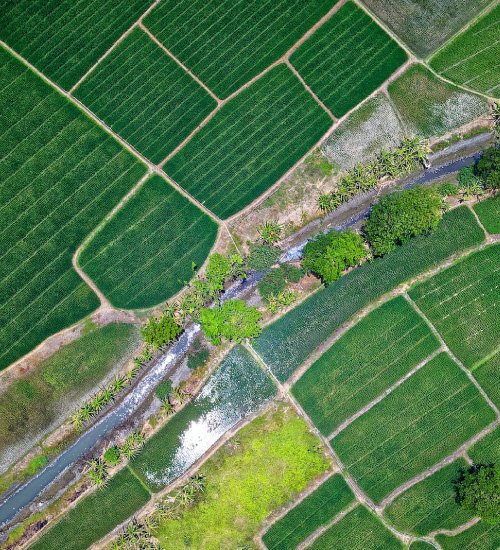 TVET – Agri